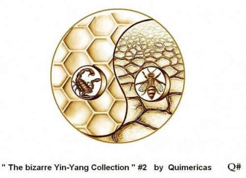 THE BIZARRE YIN YANG COLLECTION THE BIZARRE YIN YANG COLLECTION