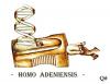 Cartoon: HOMO ADENIENSIS (small) by QUIM tagged homo dna 