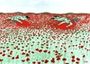 Cartoon: blood flowers (small) by emraharikan tagged war