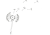 Cartoon: Dandelion (small) by emraharikan tagged dandelion