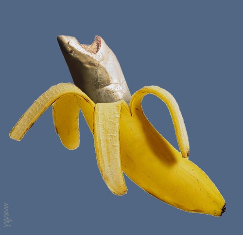 Cartoon: ... (medium) by Medi Belortaja tagged bananas,shark