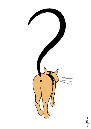 Cartoon: cat (medium) by Medi Belortaja tagged question,mark,tail,cat
