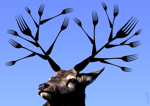 Cartoon: deer (medium) by Medi Belortaja tagged horns,forks,deer,horn,environment,animals