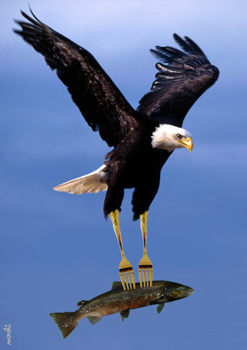 eagle_with_food_1944765.jpg