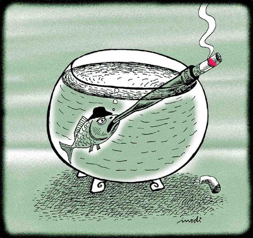 Cartoon: fish smokers (medium) by Medi Belortaja tagged cigarette,aquarium,smokers,fish