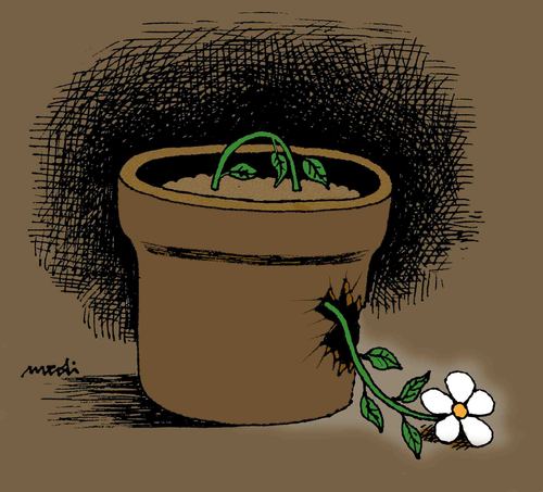 Cartoon: floral efforts (medium) by Medi Belortaja tagged flowerpot,flower,efforts,floral