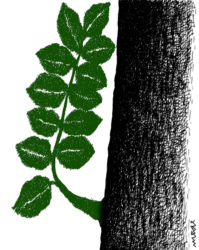Cartoon: green kisses (medium) by Medi Belortaja tagged leaves,environment,love,kisses,kiss,green,tree,nature