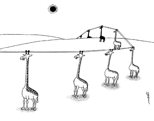 Cartoon: humor with giraffe (medium) by Medi Belortaja tagged electricity,giraffe,humor