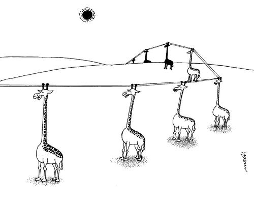 Cartoon: humor with giraffe (medium) by Medi Belortaja tagged electricity,giraffe,humor
