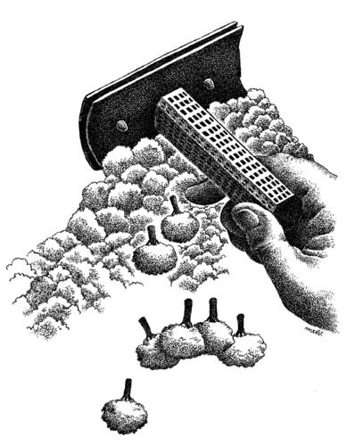Cartoon: shaving (medium) by Medi Belortaja tagged nature,ecology,shave,tree,forest