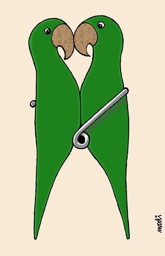 Cartoon: two parrot (medium) by Medi Belortaja tagged humor,pin,clothes,parrot