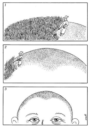 Cartoon: Hair is cut down (medium) by Medi Belortaja tagged humor,mowing,cut,hair