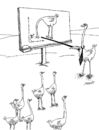 Cartoon: school teaching (small) by Medi Belortaja tagged school,teaching,students,birds,humor