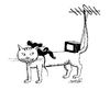 Cartoon: antenna (small) by Medi Belortaja tagged antenna,mouse,cat,watching,tv,tail,humor