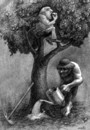 Cartoon: boss and worker (small) by Medi Belortaja tagged tree,boss,worker,rich,poor,people,apples,fruits,capitalism