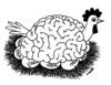 Cartoon: chicken of ideas (small) by Medi Belortaja tagged chicken,brain,ideas,eggs