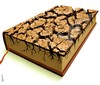 Cartoon: cracked book (small) by Medi Belortaja tagged cracked,cracking,book,pland,land,books,read,literature