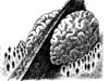 Cartoon: dilemma (small) by Medi Belortaja tagged dilemma brain wall peoples division hate