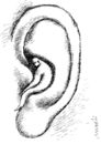 Cartoon: espial (small) by Medi Belortaja tagged espial,ear,man,talking