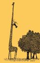 Cartoon: giraffe (small) by Medi Belortaja tagged giraffe woodpecker bird neck peck humor