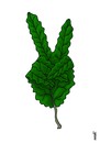 Cartoon: green victory (small) by Medi Belortaja tagged green,lef,leaves,erdogan,turkiye,protests,gezi,parkvictory