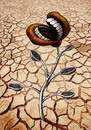 Cartoon: hungry flower (small) by Medi Belortaja tagged hungry flower