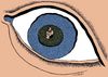 Cartoon: eye island (small) by Medi Belortaja tagged eye island robinson crusoe