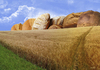 Cartoon: mountains of bread (small) by Medi Belortaja tagged bread breads mountains wheat area field food