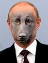 Cartoon: putin (small) by Medi Belortaja tagged putin