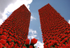 Cartoon: Twin Flowers (small) by Medi Belortaja tagged twin,towers,flowers,buildings,poppy,esteem,remembrance,terror,terrorism,11,september,anniversary