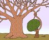 Cartoon: sentenced to the gallows tree (small) by Medi Belortaja tagged tree,trees,hanging,forest,environment
