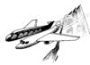 Cartoon: sharp rock (small) by Medi Belortaja tagged sharp,rock,plane,accidents,black,humor