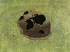 Cartoon: war helmets (small) by Medi Belortaja tagged helmet,helmets,continents,war,peace