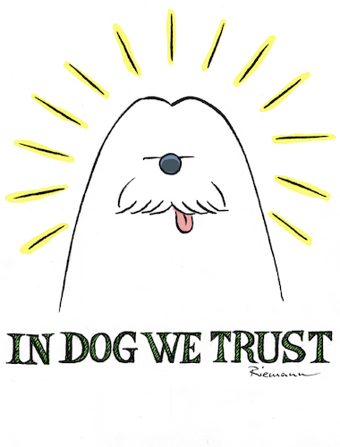 DOG DOG