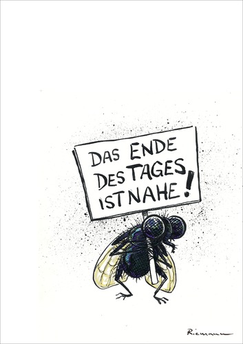 Eintagsfliege Eintagsfliege