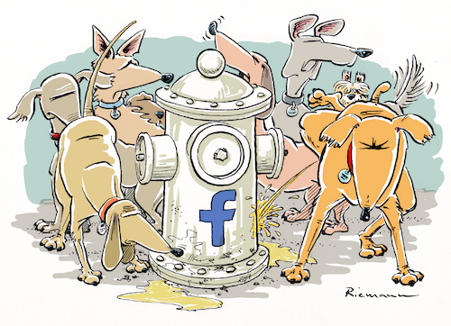 Facebook für Hunde Facebook für Hunde