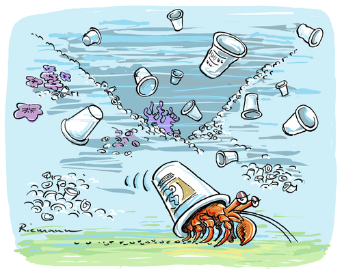 Cartoon: Home To Go (medium) by Riemann tagged plastik,kaffeebecher,kaffee,to,go,coffee,meer,oceans,umwelt,verschmutzung,pollution,konsum,consuming,packaging,styropor,einsiedlerkrebs,hermit,crab,cartoon,george,riemann,plastik,kaffeebecher,kaffee,to,go,coffee,meer,oceans,umwelt,verschmutzung,pollution,konsum,consuming,packaging,styropor,einsiedlerkrebs,hermit,crab,cartoon,george,riemann