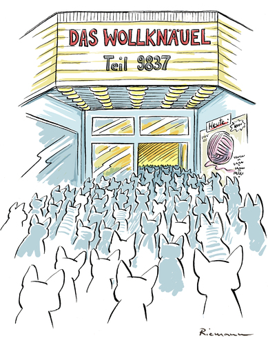 Katzenkino Katzenkino