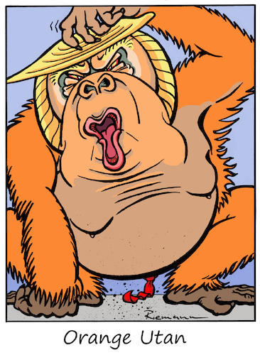 Orange Man Orange Man