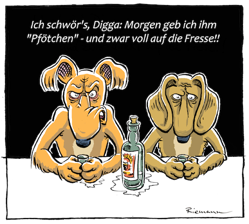 Pfötchen Pfötchen