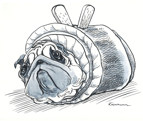 Cartoon: Rollmops (medium) by Riemann tagged hund,mops,wortspiel,rollmops,fisch,essen,tier,hund,mops,wortspiel,rollmops,fisch,essen,tier,tiere,hunde