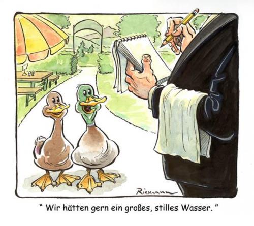 Cartoon: Wasser (medium) by Riemann tagged enten,restaurant,kellner,wasser,natur,tiere