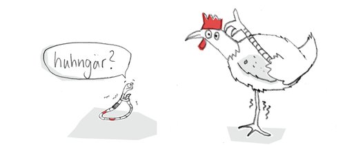 Cartoon: Huhngär? (medium) by Silvia Wagner tagged huhn,chicken,worm,wurm,friends,relation,tiere,animal