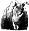 Cartoon: Rhino in a Suit (small) by halltoons tagged rhinoceros,caricature,animal