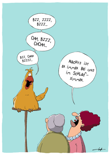 Schnarchender Papagei Schnarchender Papagei