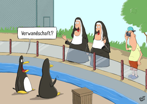 Cartoon: Verwandtschaft (medium) by luftzone tagged thomas,luft,cartoon,lustig,verwandtschaft,verwandt,nonne,pinguin,tier,zoo,tierpark,fotograf,ähnlichkeit,verwechslung,thomas,luft,cartoon,lustig,verwandtschaft,verwandt,nonne,pinguin,tier,zoo,tierpark,fotograf,ähnlichkeit,verwechslung