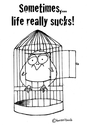 Cartoon: Sometimes life sucks (medium) by brezeltaub tagged life,sucks,bird,no,sports,vogel,dick,übergewicht,zu,gefangen,vorsätze,vorsatz,fitness,how,to,start,small,cage,loss,weight,too,big,prison,break,gefängnis,knast,kittchen,gefangener,jail,prisoner