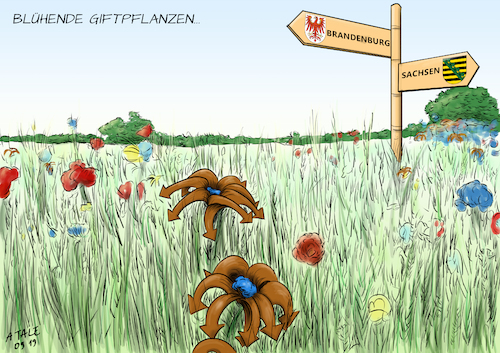 Landtagswahlen Landtagswahlen