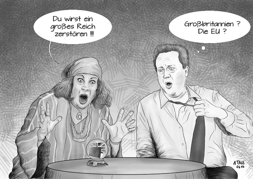 Quo vadis Cameron ?   sw