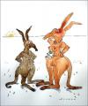 Cartoon: Kängurus (small) by Rainer Schade tagged couple,beziehung